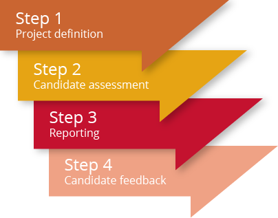 assessment-process-01